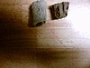 mud dauber nest